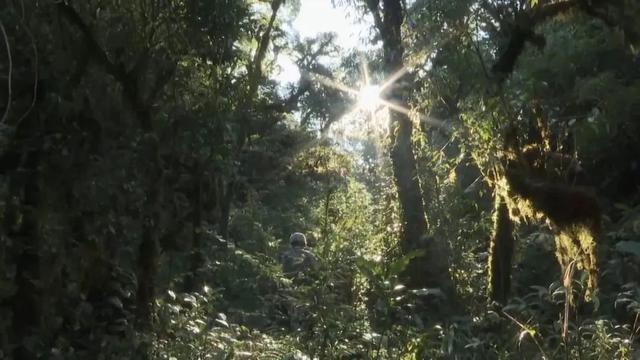 部隊穿越哀牢山現(xiàn)場實拍，一線部隊行進畫面曝光