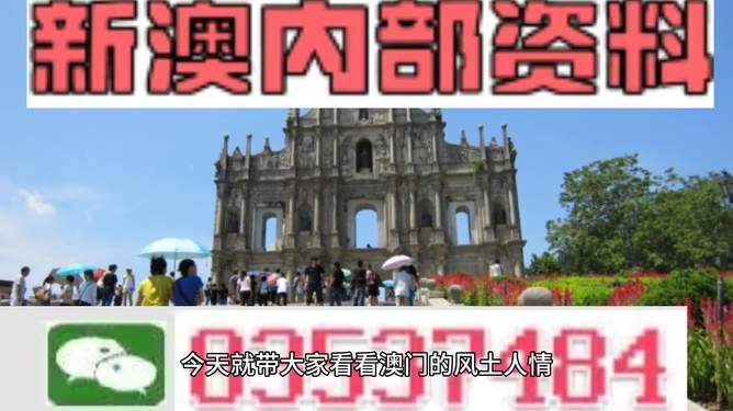 新澳資料大全正版資料2024年免費(fèi)下載，準(zhǔn)確資料解釋落實(shí)_WP88.61.16