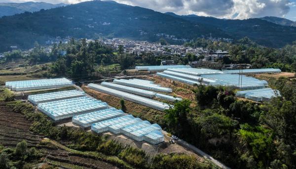 鳳慶縣概覽，最新消息與概述