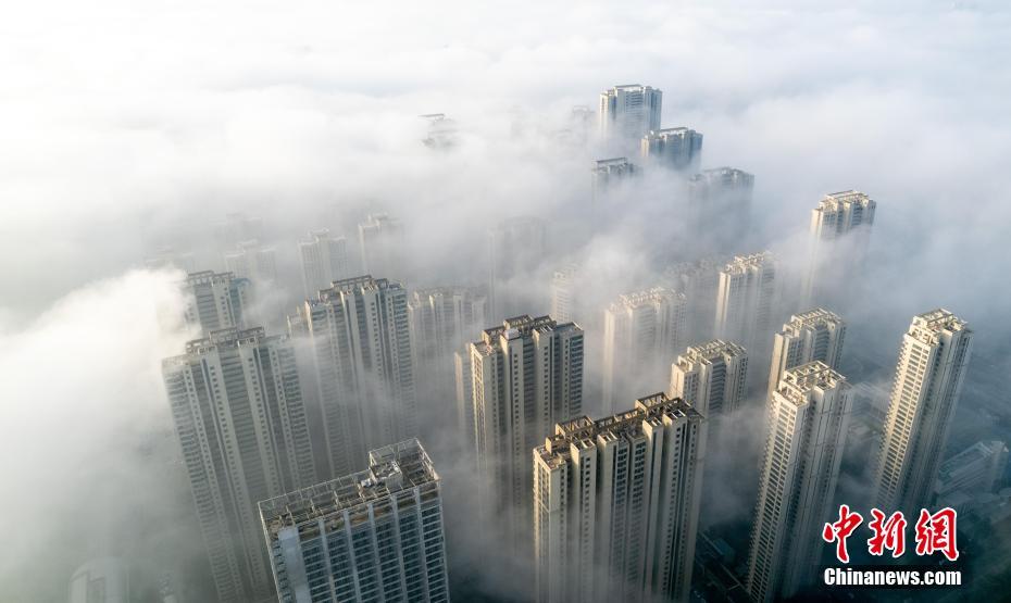 天津房貸利率與自然美景之旅，探尋利率背后的寧靜力量與十一月十日的獨(dú)特魅力