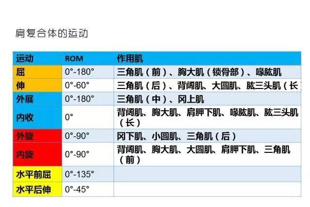 全國(guó)聯(lián)銷正版高清圖_ISK56.530影像處理全身數(shù)據(jù)指導(dǎo)枕