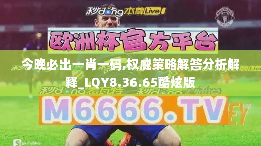 今晚必出一肖一碼,權(quán)威策略解答分析解釋_LQY8.36.65酷炫版