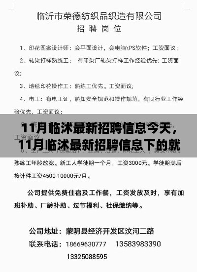 11月臨沭最新招聘信息匯總，就業(yè)市場觀察與個人選擇