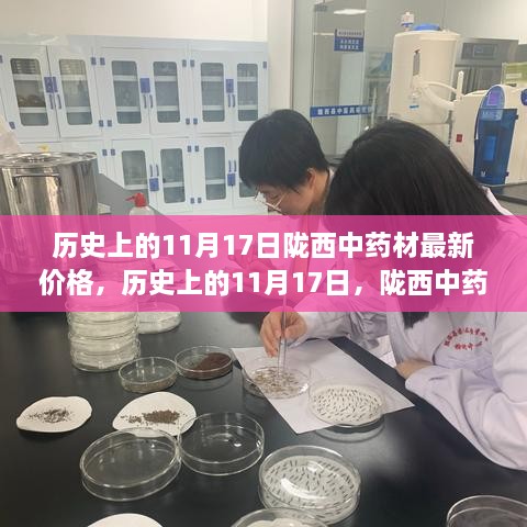 歷史上的11月17日，隴西中藥材市場價格的變遷與影響及最新價格概覽