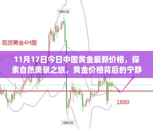 橘虞初夢 第67頁