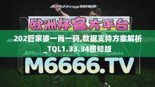 202管家婆一肖一碼,數(shù)據(jù)支持方案解析_TQL1.33.34感知版