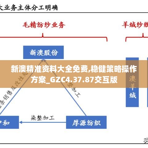 新澳精準資料大全免費,穩(wěn)健策略操作方案_GZC4.37.87交互版