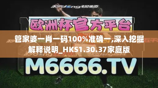 管家婆一肖一碼100%準確一,深入挖掘解釋說明_HKS1.30.37家庭版