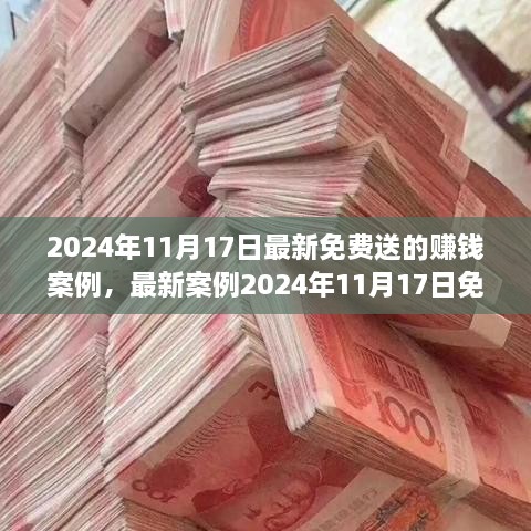 2024年11月17日最新免費賺錢項目實戰(zhàn)指南，從初學者到進階用戶的賺錢案例與步驟