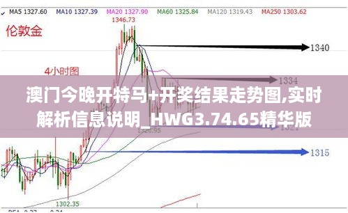 澳門今晚開特馬+開獎(jiǎng)結(jié)果走勢圖,實(shí)時(shí)解析信息說明_HWG3.74.65精華版