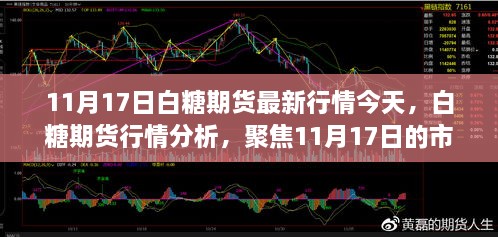 白糖期貨行情分析，聚焦市場動態(tài)與未來展望（最新行情報道，日期，11月17日）