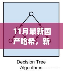 新哈希算法下的暖心日常，友情、家庭與愛的紐帶（11月最新國產(chǎn)哈希分享）