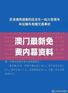 澳門最新免費內幕資料，11月19日深度解析與解答方案_SVP8.12.34標準版