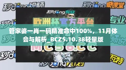 管家婆一肖一碼精準(zhǔn)命中100%，11月體會(huì)與解析_BCZ5.10.38輕量版