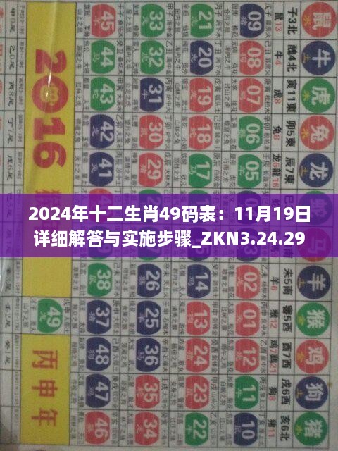 2024年十二生肖49碼表：11月19日詳細(xì)解答與實施步驟_ZKN3.24.29修訂版