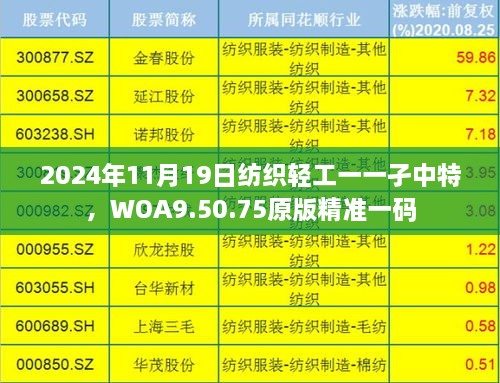 2024年11月19日紡織輕工一一孑中特，WOA9.50.75原版精準一碼