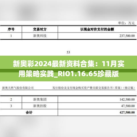 新奧彩2024最新資料合集：11月實(shí)用策略實(shí)踐_RIO1.16.65珍藏版