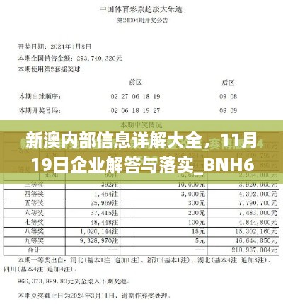 新澳內(nèi)部信息詳解大全，11月19日企業(yè)解答與落實_BNH6.37.71零障礙版