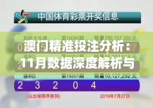 澳門精準投注分析：11月數(shù)據(jù)深度解析與VAE3.74.27無線版設計