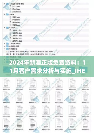 2024年新澳正版免費資料：11月客戶需求分析與實施_IHE7.27.64高配版