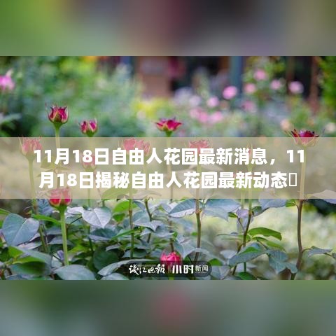 揭秘自由人花園最新動(dòng)態(tài)，最新消息一覽（11月18日）