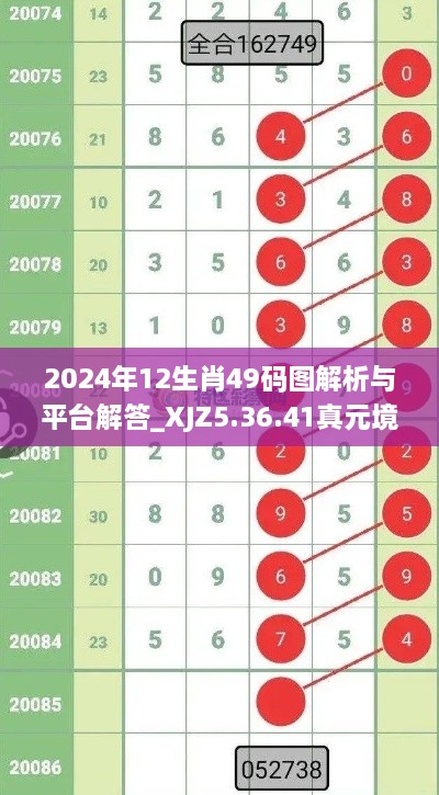 2024年12生肖49碼圖解析與平臺(tái)解答_XJZ5.36.41真元境