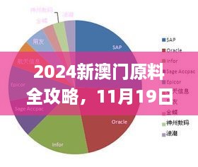 2024新澳門原料全攻略，11月19日專職解析實施_LXC6.23.35L版