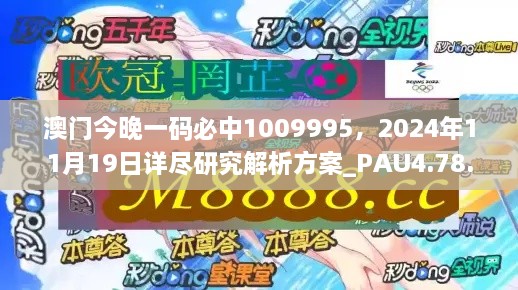 澳門(mén)今晚一碼必中1009995，2024年11月19日詳盡研究解析方案_PAU4.78.58文化傳承版