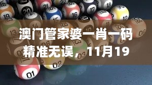 澳門管家婆一肖一碼精準無誤，11月19日即時響應實施方案_QAJ6.15.29旅行者特別版