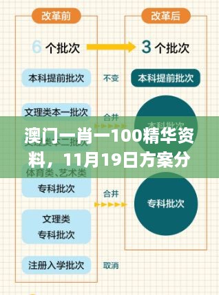 澳門一肖一100精華資料，11月19日方案分析與解讀_PDE3.33.55精選版