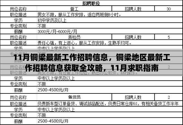 銅梁地區(qū)最新招聘全攻略，求職指南與招聘信息獲取指南（11月版）