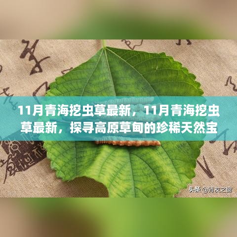 星星打烊 第65頁