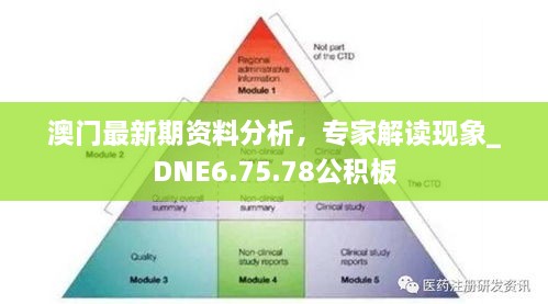 澳門最新期資料分析，專家解讀現(xiàn)象_DNE6.75.78公積板