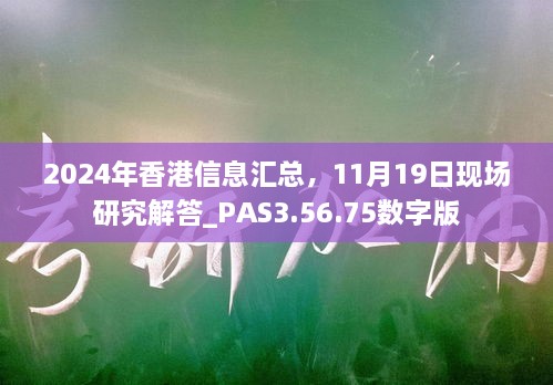 2024年香港信息匯總，11月19日現(xiàn)場(chǎng)研究解答_PAS3.56.75數(shù)字版