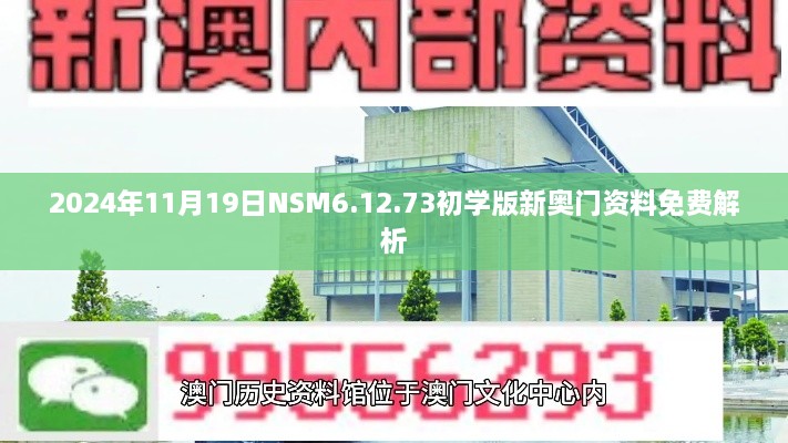 2024年11月19日NSM6.12.73初學(xué)版新奧門資料免費解析