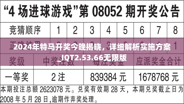 2024年特馬開獎今晚揭曉，詳細解析實施方案_IQT2.53.66無限版