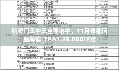 新澳門王中王全期必中，11月詳細(xì)問題解讀_TPA7.39.88DIY版