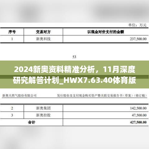 2024新奧資料精準(zhǔn)分析，11月深度研究解答計(jì)劃_HWX7.63.40體育版