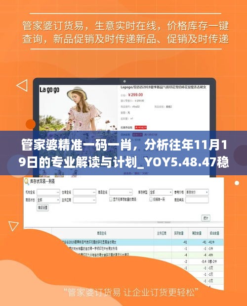 管家婆精準(zhǔn)一碼一肖，分析往年11月19日的專業(yè)解讀與計(jì)劃_YOY5.48.47穩(wěn)定版