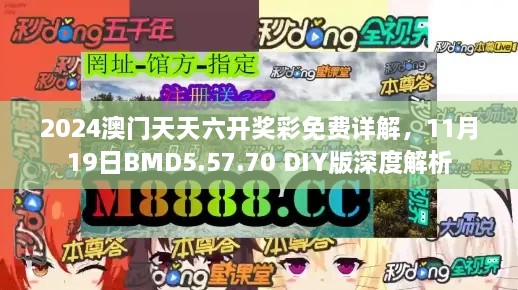 2024澳門天天六開獎彩免費詳解，11月19日BMD5.57.70 DIY版深度解析