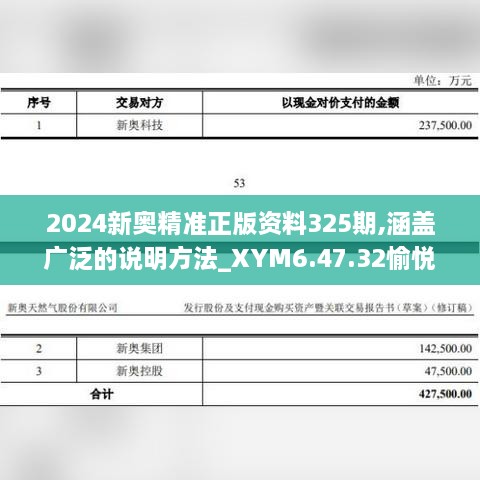 2024新奧精準(zhǔn)正版資料325期,涵蓋廣泛的說明方法_XYM6.47.32愉悅版