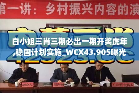 白小姐三肖三期必出一期開獎虎年,穩(wěn)固計劃實施_WCX43.905曝光版