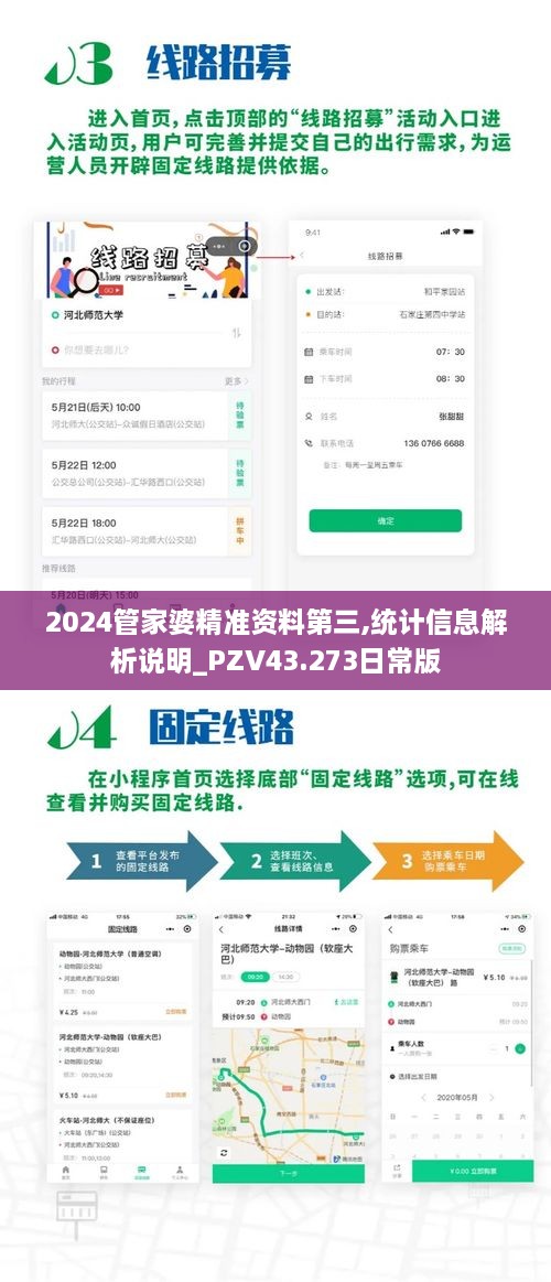 2024管家婆精準(zhǔn)資料第三,統(tǒng)計(jì)信息解析說明_PZV43.273日常版