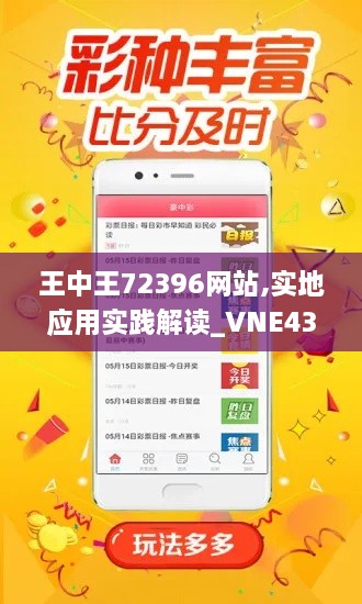 王中王72396網(wǎng)站,實(shí)地應(yīng)用實(shí)踐解讀_VNE43.457性能版