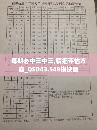 每期必中三中三,精細評估方案_QSD43.548模塊版