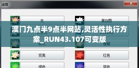 澳門九點半9點半網(wǎng)站,靈活性執(zhí)行方案_RUN43.107可變版