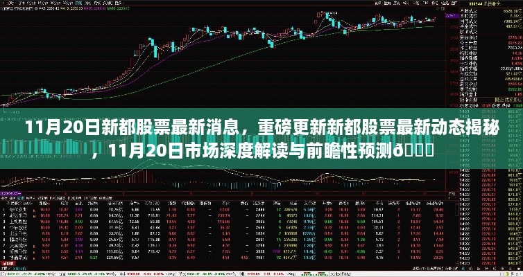 11月20日新都股票最新動態(tài)與市場深度解讀，前瞻性預(yù)測揭秘??