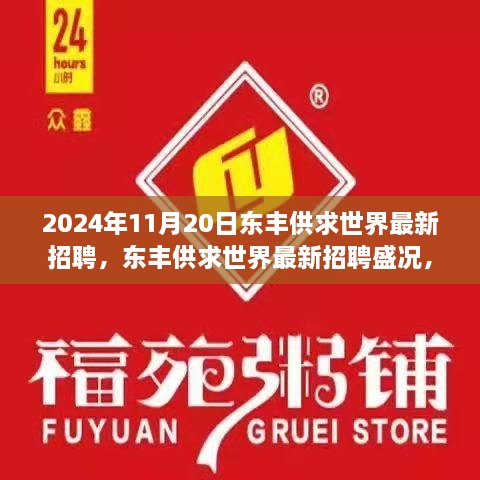 2024年11月20日東豐供求世界招聘盛況，行業(yè)變革與職業(yè)機遇的聚焦