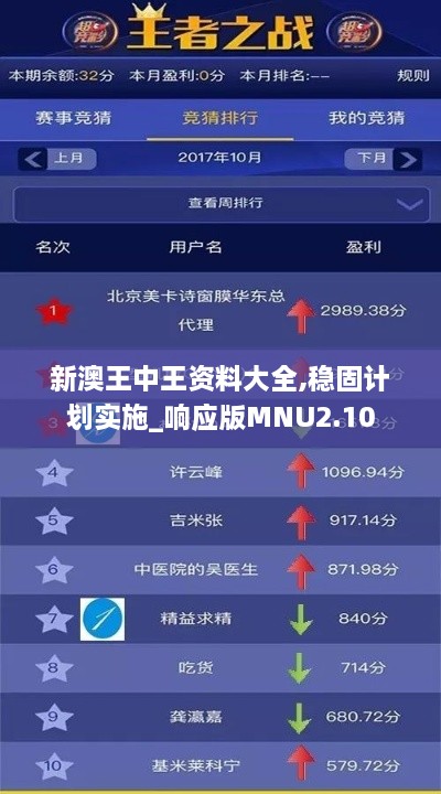 新澳王中王資料大全,穩(wěn)固計劃實施_響應版MNU2.10