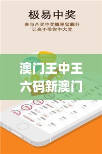 澳門王中王六碼新澳門,體系解答解釋落實(shí)_攜帶版DVU6.68